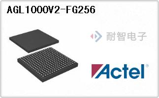 AGL1000V2-FG256