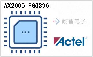 AX2000-FGG896