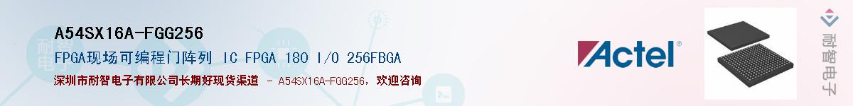 A54SX16A-FGG256Ӧ-ǵ