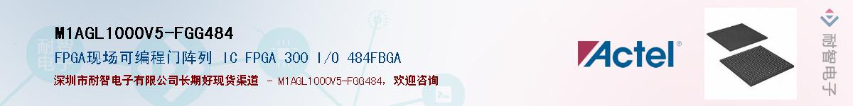 M1AGL1000V5-FGG484Ӧ-ǵ