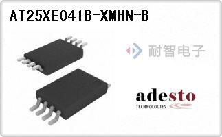 AT25XE041B-XMHN-B