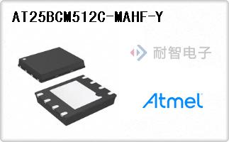 AT25BCM512C-MAHF-Y