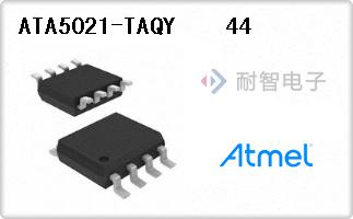 ATA5021-TAQY    44