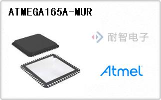 ATMEGA165A-MUR