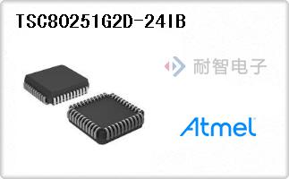 TSC80251G2D-24IB