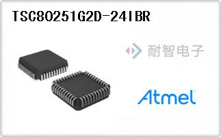 TSC80251G2D-24IBR