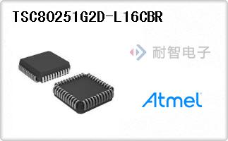 TSC80251G2D-L16CBR