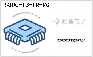 5300-13-TR-RC