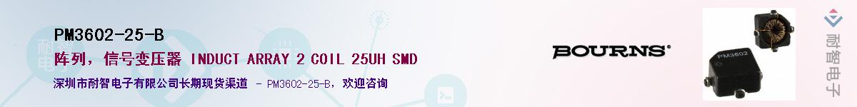 PM3602-25-BӦ-ǵ