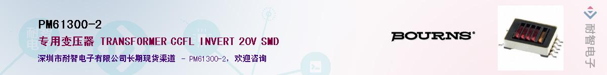 PM61300-2Ӧ-ǵ