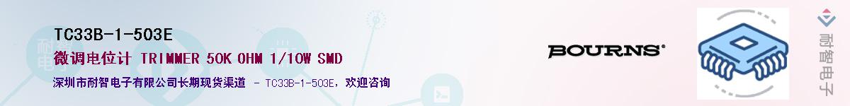 TC33B-1-503EӦ-ǵ