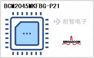 BCM2045MKFBG-P21