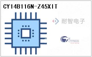 CY14B116N-Z45XIT