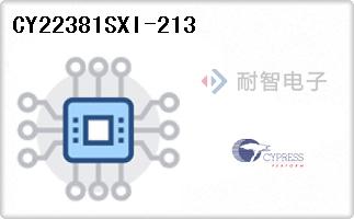 CY22381SXI-213