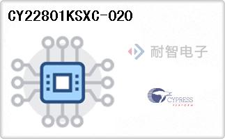 CY22801KSXC-020