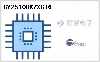 CY25100KZXC46