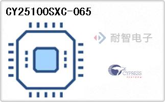 CY25100SXC-065