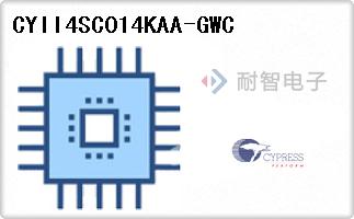 CYII4SC014KAA-GWC