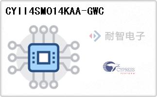 CYII4SM014KAA-GWC