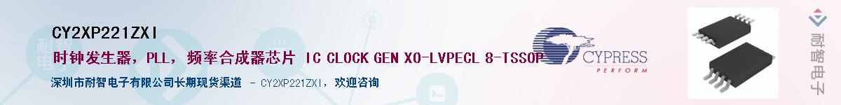 CY2XP221ZXIӦ-ǵ