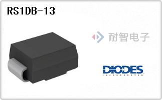 RS1DB-13