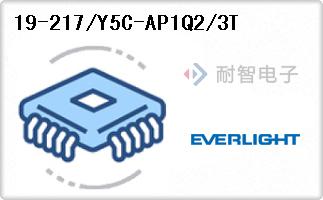 19-217/Y5C-AP1Q2/3T