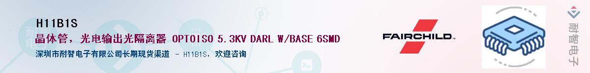 H11B1SӦ-ǵ