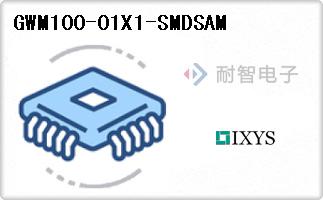 GWM100-01X1-SMDSAM