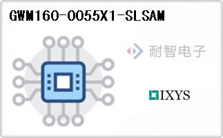 GWM160-0055X1-SLSAM