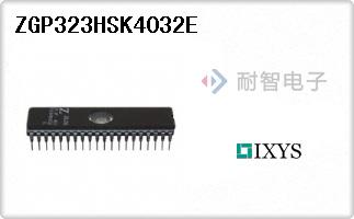 ZGP323HSK4032E