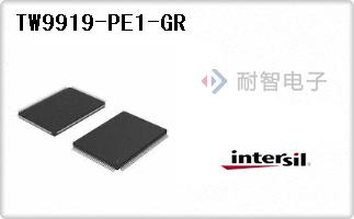 TW9919-PE1-GR