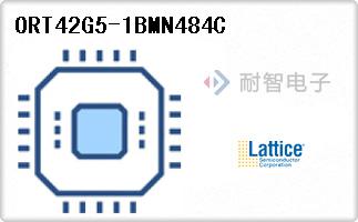 ORT42G5-1BMN484C