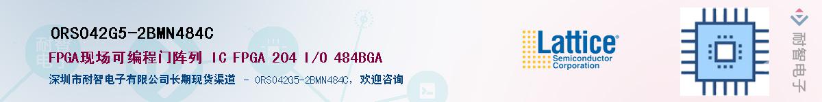 ORSO42G5-2BMN484CӦ-ǵ