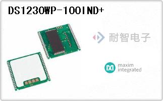 DS1230WP-100IND+