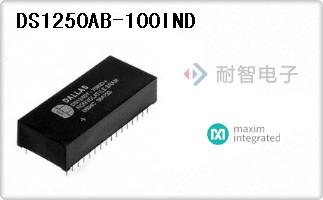 DS1250AB-100IND