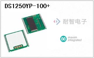 DS1250YP-100+