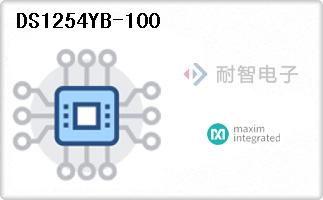 DS1254YB-100