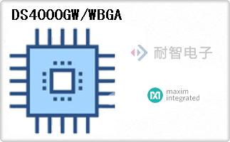DS4000GW/WBGA