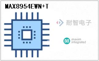 MAX8954EWN+T