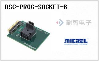 DSC-PROG-SOCKET-B