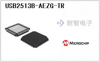 USB2513B-AEZG-TR