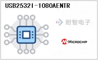 USB2532I-1080AENTR