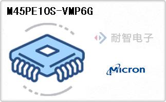 M45PE10S-VMP6G