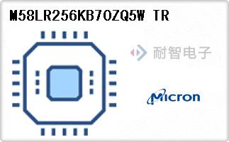 M58LR256KB70ZQ5W TR