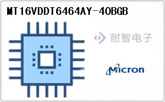 MT16VDDT6464AY-40BGB