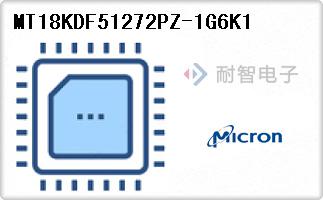 MT18KDF51272PZ-1G6K1