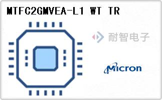 MTFC2GMVEA-L1 WT TR