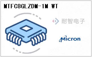 MTFC8GLZDM-1M WT