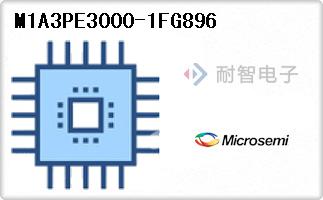 M1A3PE3000-1FG896