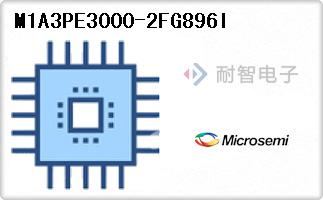 M1A3PE3000-2FG896I